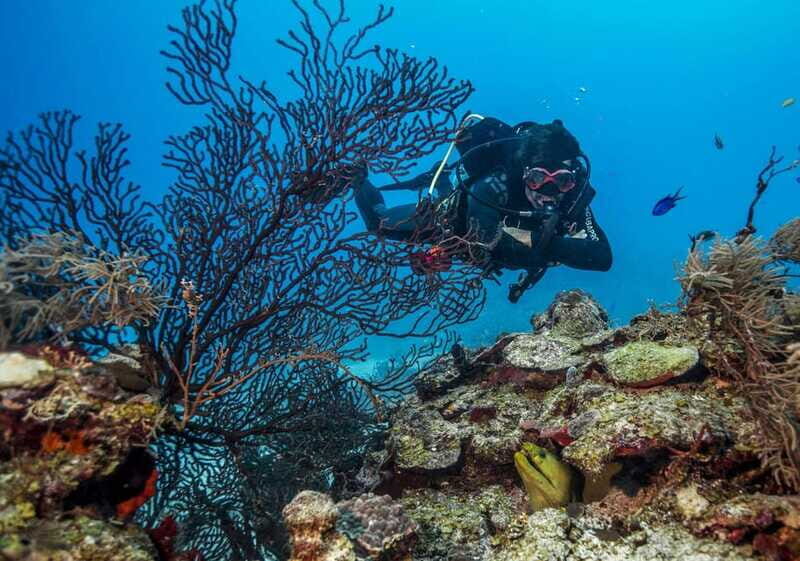 Costa Maya: Two Tank Fun Dive for Certified Divers - FAQ