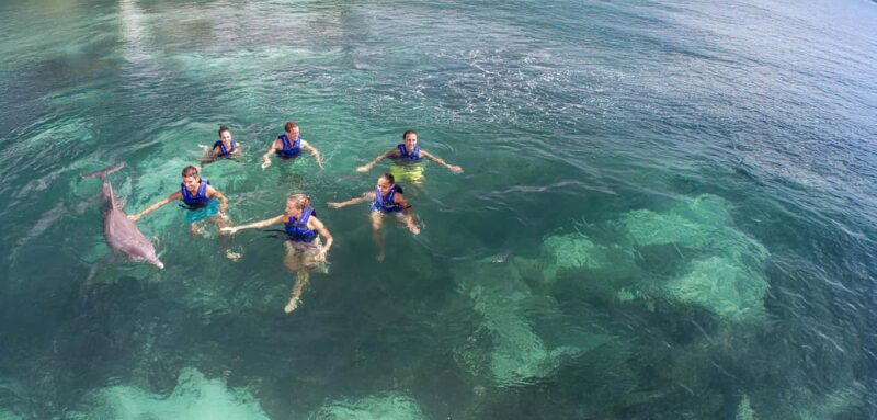Costa Mujeres: Swim with Dolphins - An Up-Close Look at the Dolphin Experience
