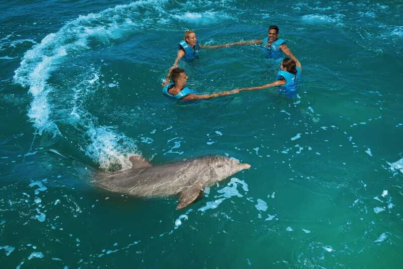 Costa Mujeres: Swim with Dolphins - Why Choose This Tour?