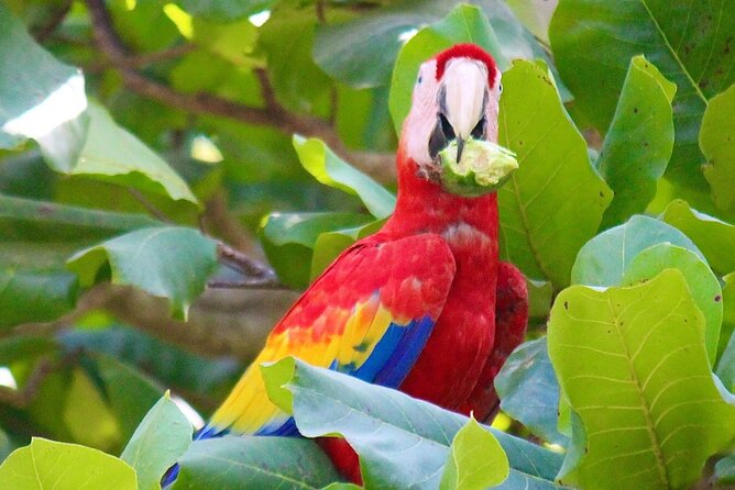 Costa Rica 5 Days With Accommodation, Tours and Some Meals - Tour Itinerary