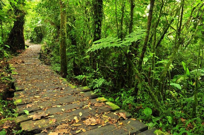 Costa Rica 6-in-1 Aerial Tram & Rainforest Adventure - Good To Know