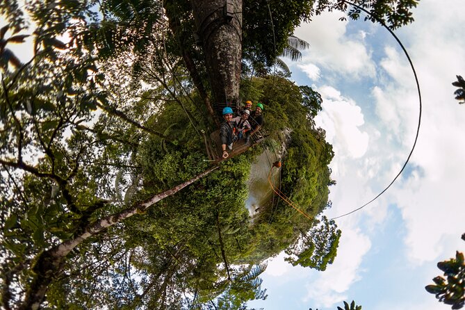 Costa Rica 6-in-1 Aerial Tram & Rainforest Adventure - Zipline Canopy Tour