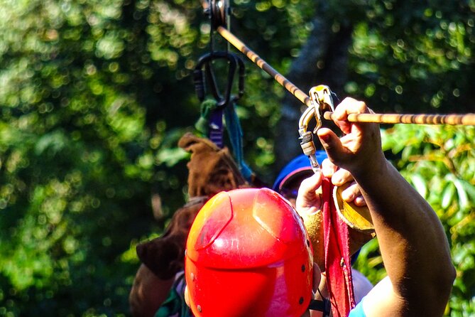 Costa Rica Monkey Jungle Zipline From Tamarindo - Safety Measures and Guidelines