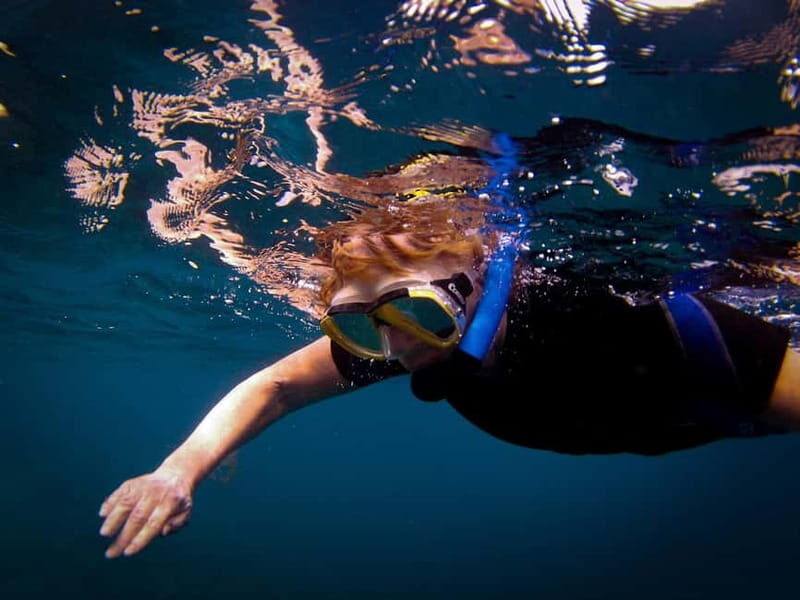Costa Teguise: Guided 2-hour Snorkeling Tour for all levels - The Sum Up