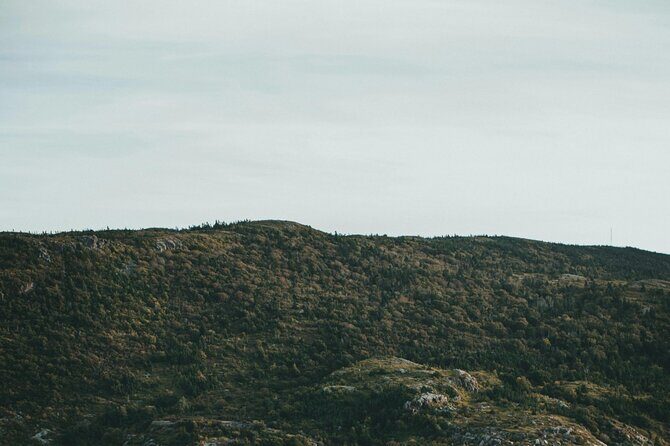 Costal Lights A Newfoundland Photography Adventure - What Could Be Better?