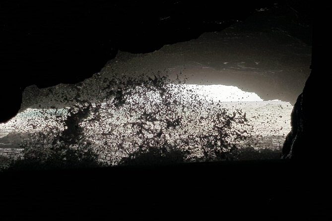 Costumizable East to West Island Tour Experience - FAQs