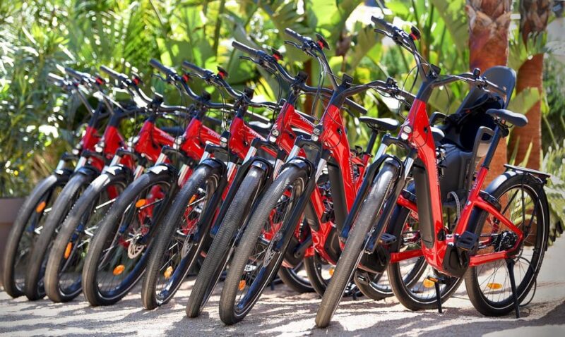 Côte Dazur: E-Bike Rental - Key Points