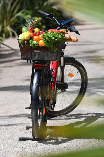 Côte Dazur: E-Bike Rental - Discover Paddle Board Adventures