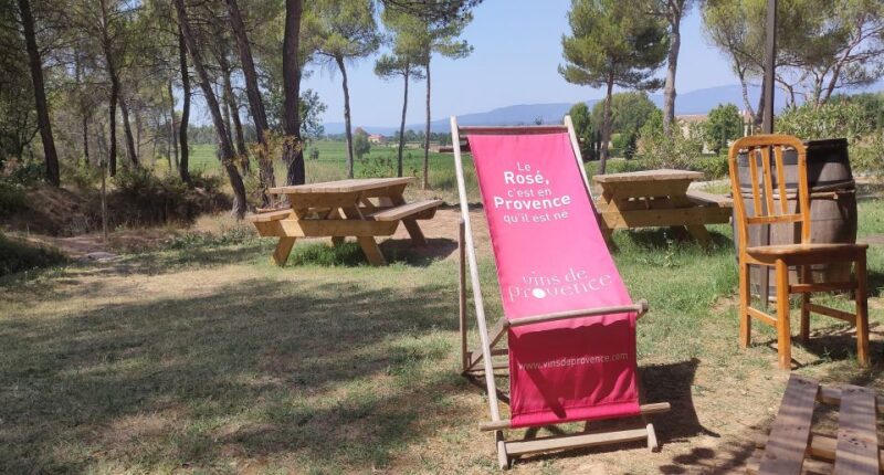 Coteaux Daix-En-Provence 8-Hour Winery Tour - Highlights of the Experience