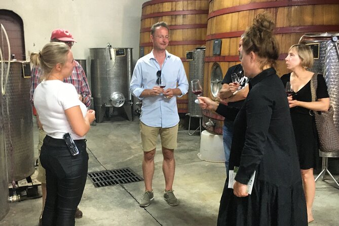 Cotes De Provence Small Group Day Trip With Winery Visits & Tastings From Nice - Discovering Cru Classe Wineries
