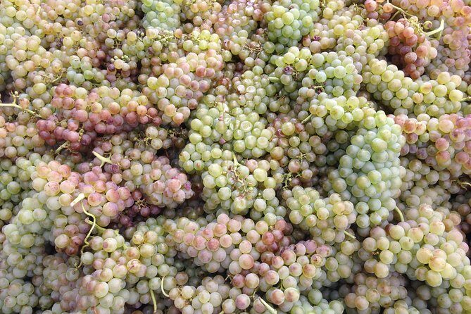 Cotes du Rhone Wine Tour (9:00 am to 5:15 pm) - Small Group Tour from Lyon - Considerations and Practical Tips