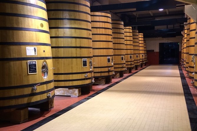 Cotes Du Rhone Wine Tour - Private Tour - Full Day From Lyon - Expected Tour Experience