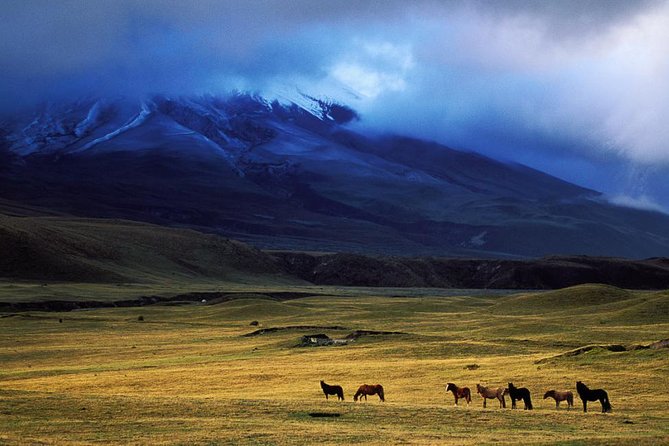 Cotopaxi Volcano: Biking Small Group Full Day Tour - Location and Duration