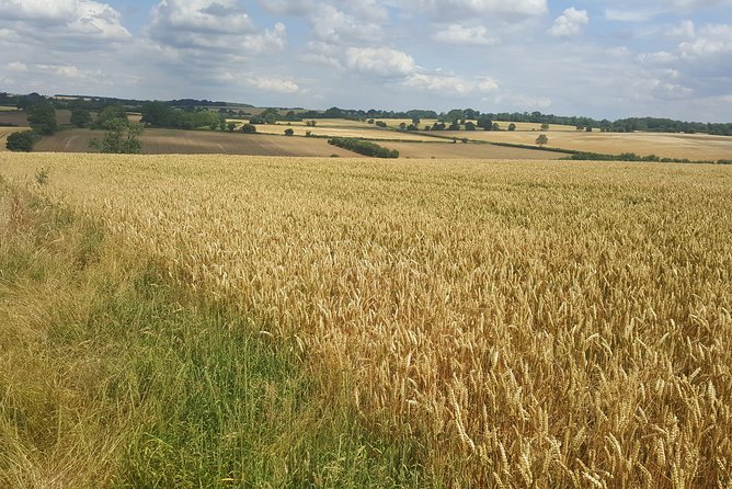 Cotswold and Oxford Private Group Day Tour From Watford - Accessibility and Inclusivity
