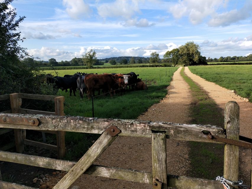 Cotswolds: Full-Day Private Walking Tour With Local Guide - Itinerary Highlights