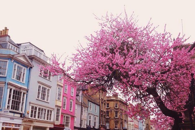 Cotswolds Villages and Oxford Full Day Tour from London - The Value Proposition