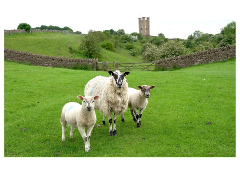 Cotswolds Villages & Countryside: Private Luxury Tour - A Well-Balanced Look at the Tour