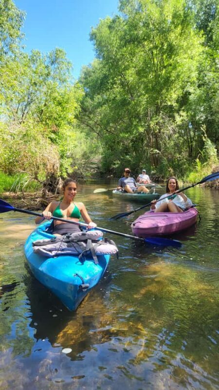 Cottonwood: Private Verde River Kayak Tour UTV Ride Included - The UTV Ride: An Adventure Before the Calm