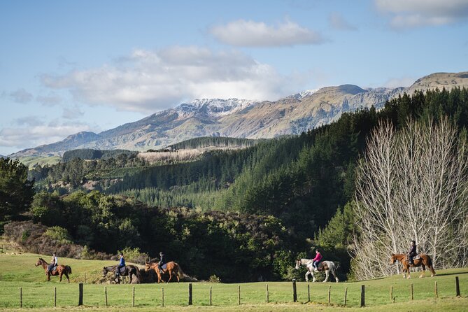 Country Experience at Mohaka River Farm - Tips for Visitors