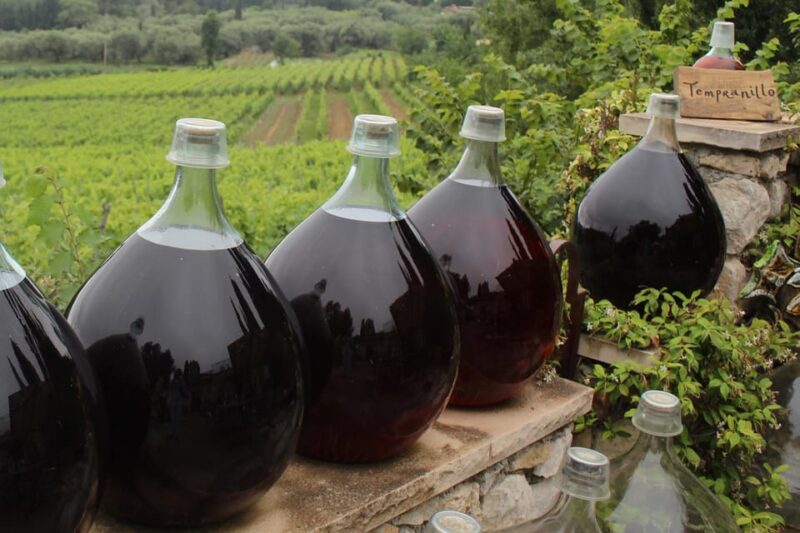 Countryside and Wine Tasting Day Tour - Wine Tasting Experience