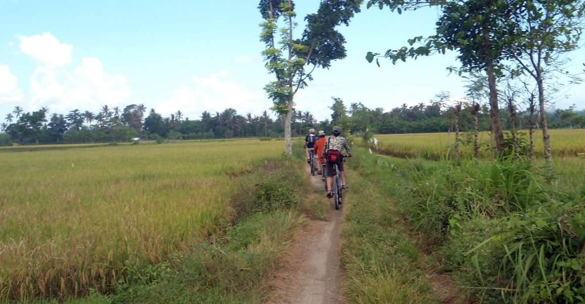 Countryside Bike Ride to Golong Village and Lingsar Temple - Pick-up and Drop-off