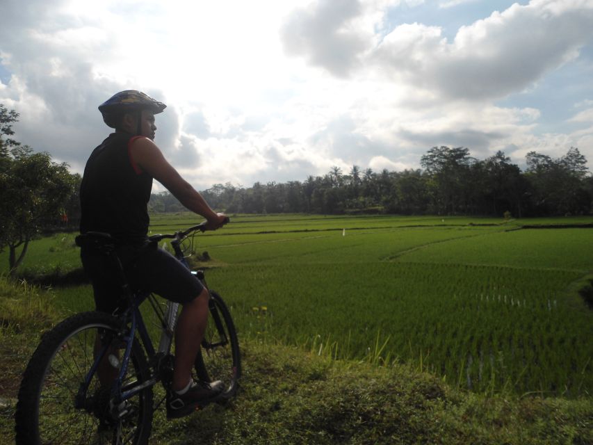 Countryside Bike Ride to Golong Village and Lingsar Temple - Ranget Water Spring