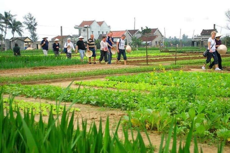 Countryside Biking -Farming -Market -Cooking Class In Hoi An - Cycling to Tra Que Vegetable Village