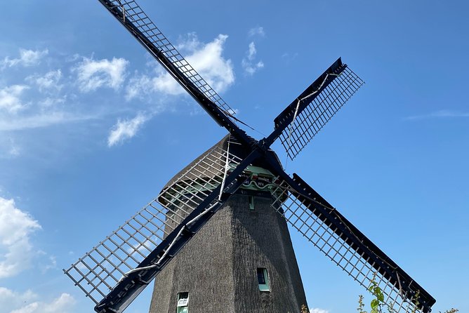 Countryside Electric Bike Tour: Zaanse Schans & Zaandam - Tour Reviews