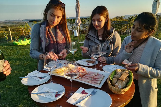 Countryside Half Day Wine Tour Near Vienna - Hotel Pickup and Drop-off Service