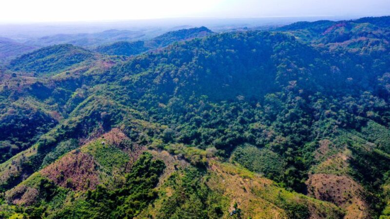 Countryside Horseback Riding Eco-Adventure Near Cartagena - Community Engagement and Conservation