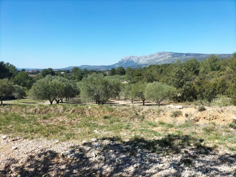 Countryside Immersion With Horseback Ride in Sainte Victoire - Convenient Transportation and Pickup Options