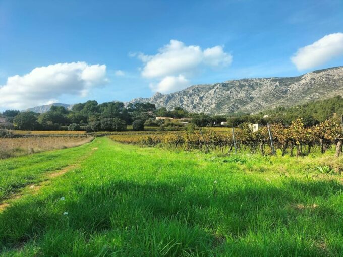 Countryside Immersion With Horseback Ride in Sainte Victoire - Frequently Asked Questions