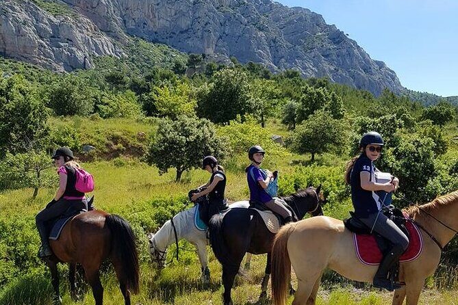 Countryside Immersion With Horseback Riding in Sainte Victoire - Who Would This Tour Suit Best?
