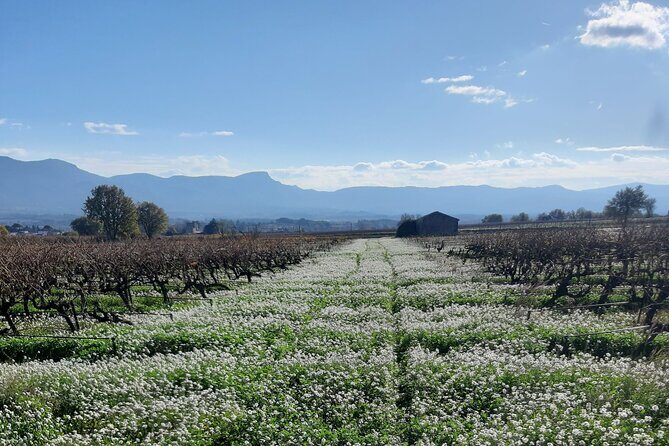 Countryside Immersion With Horseback Riding in Sainte Victoire - Final Thoughts: Is It Worth It?