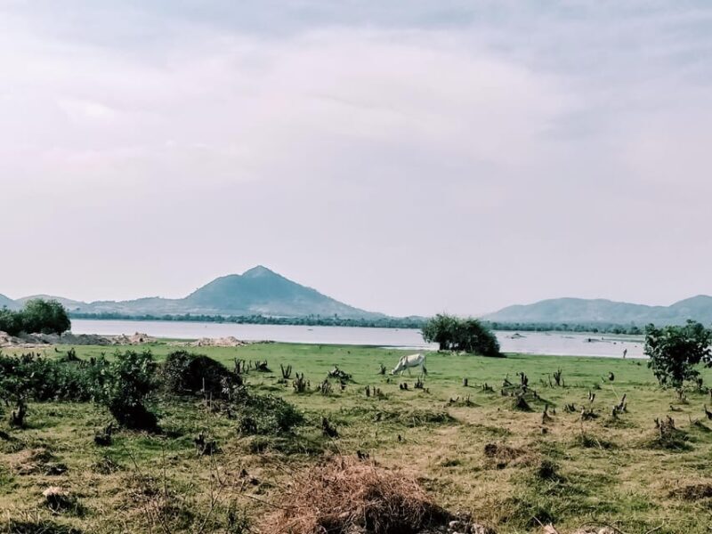 Countryside include Pepper farm, Cave, Salt field & lake... - FAQ