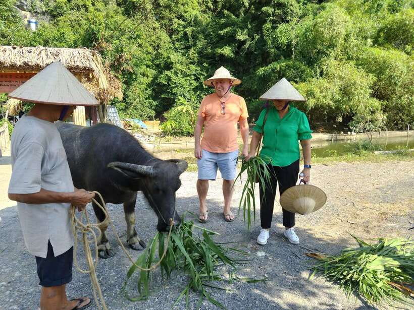 Countryside Motorbike Tour in Ninh Binh/ Pick up Ninh Binh - Meeting Point and Pickup Details