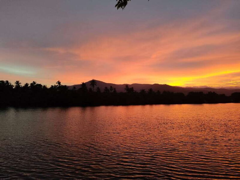 Countryside tours include pepper plantations - What You Can Expect from the Kampot Countryside Tour