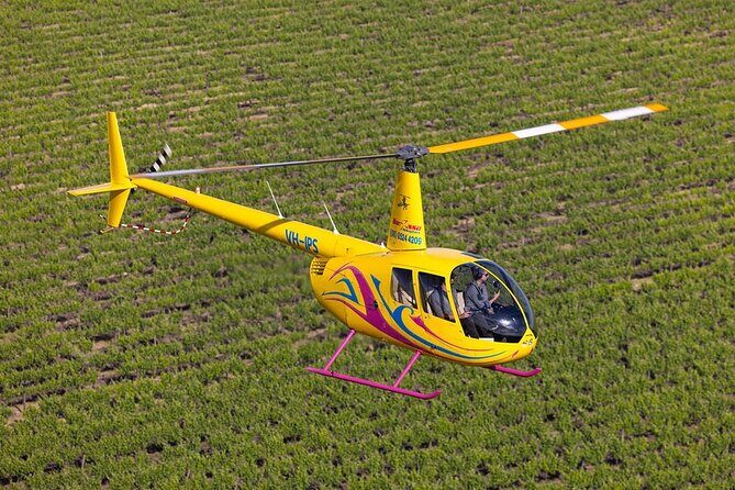 Couples Romantic Picnic - An In-Depth Look at the Couples Romantic Picnic Experience