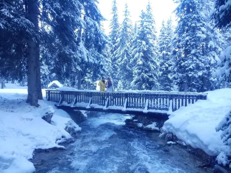 Courchevel: Snowshoeing or Nordic Walking - Guided Snowshoeing or Nordic Walking Experience