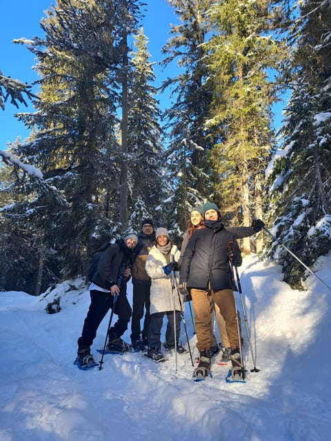 Courchevel: Snowshoeing or Nordic Walking - What to Expect on the Tour