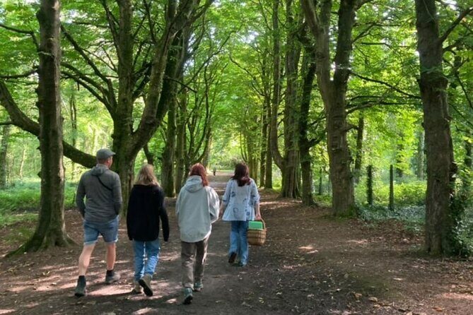 Courtown Woodland Guided Tour - A Deep Dive into the Courtown Woodland Guided Tour