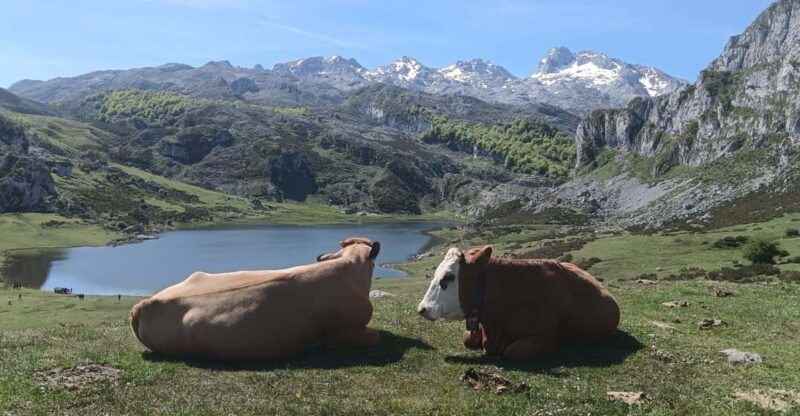 Covadonga y Cascos Históricos Cangas de Onís y Lastres - FAQ