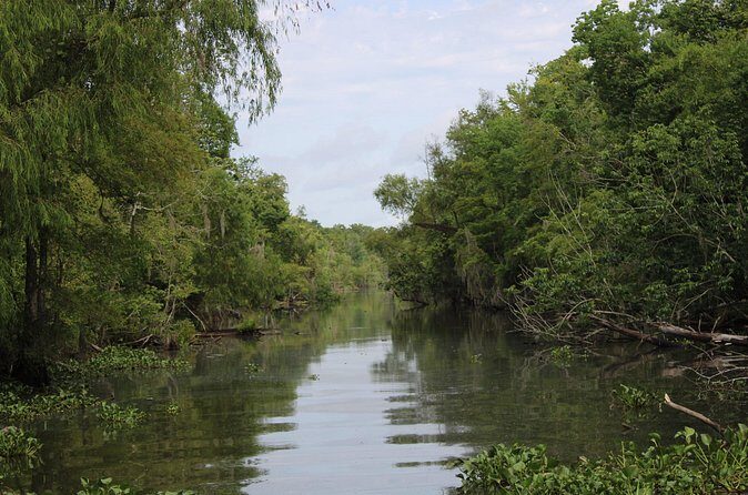 Covered Boat Swamp Tour with Transportation from New Orleans - Practical Tips for Visitors
