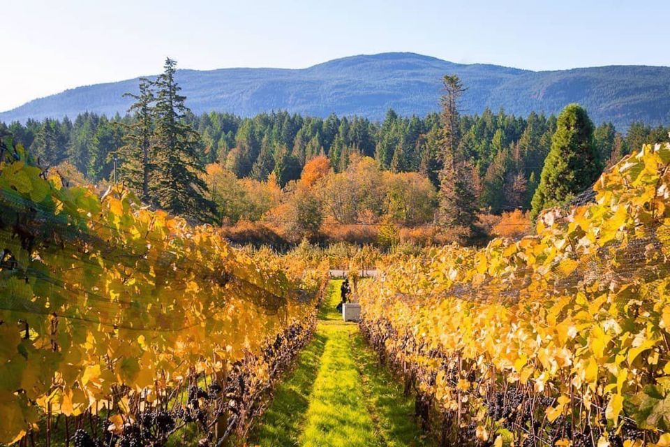 Cowichan Valley Premium Wine Tour - Charcuterie Lunch Options