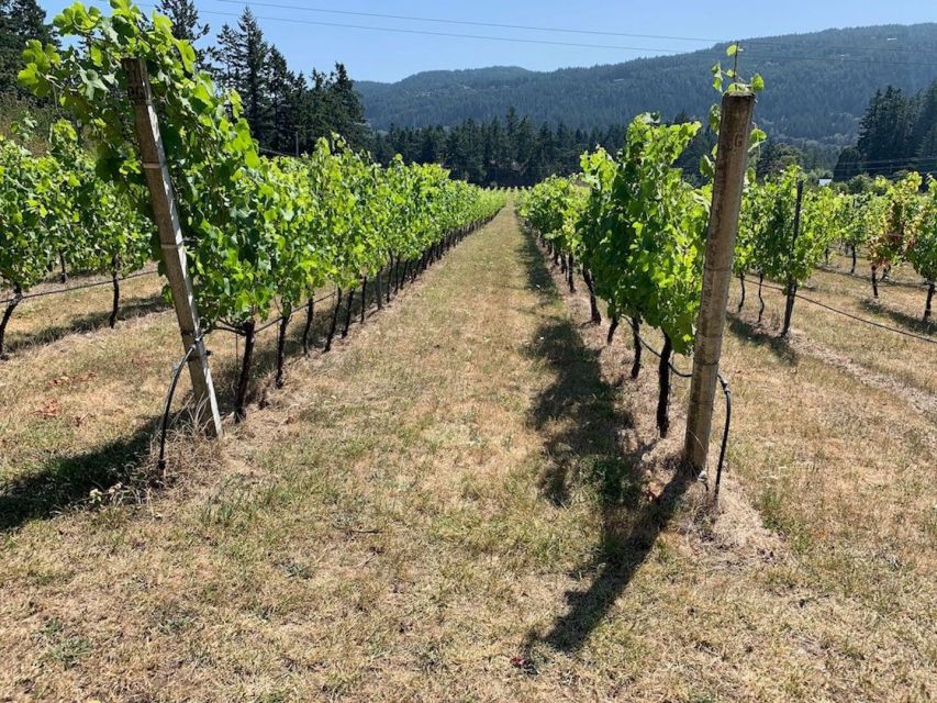 Cowichan Valley Premium Wine Tour - Booking and Cancellation Policy