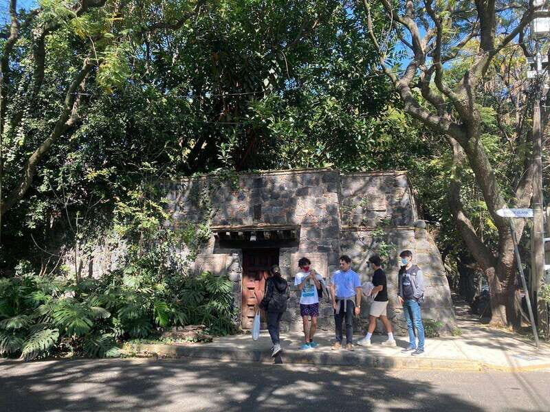 COYOACAN: FRIDA KAHLO STEPS IN COYOACAN AND SAN ANGEL CDMX - A Closer Look at the Tour Experience