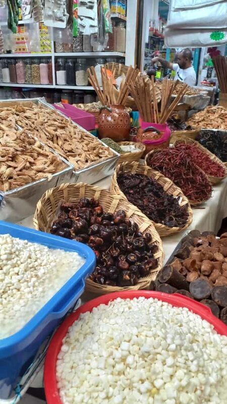 Coyoacán: History and Life of a Magical Neighborhood - Key Points