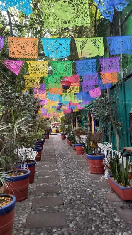 Coyoacán: History and Life of a Magical Neighborhood - A Walk Through Coyoacán: What to Expect