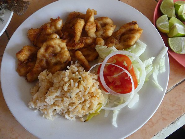 Coyuca Lagoon Countryside Baby Turtle Release Lunch & Boat Ride - Meeting and Pickup