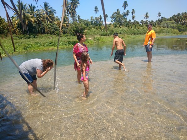 Coyuca Lagoon Countryside Baby Turtle Release Lunch & Boat Ride - Exploring the Lagoon